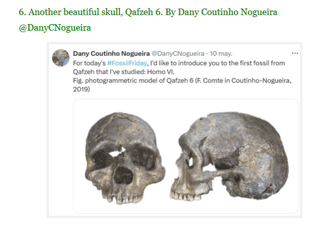 Ações de divulgação científica realizadas nas redes sociais por Dany Coutinho Nogueira no Top 10 do ano de 2024